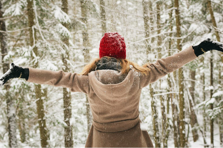 Christmas Glow From Within: Harnessing the Magic of Natural and Organic Beauty Ingredients